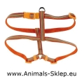  Zolux Color Line Szelki 10mm 24 - 40 cm pomarańczowe