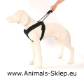  Patento Pet Sport Szelki M