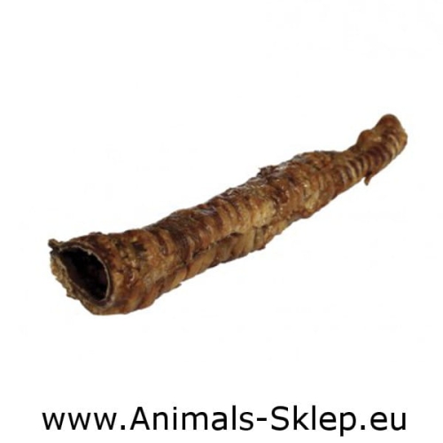 Maced przysmak naturalny tchawica wołowa 25cm