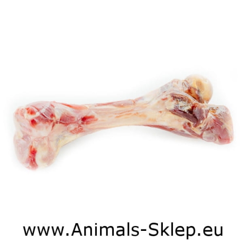 Prosciutto Bone Kość z szynki parmeńskiej cała