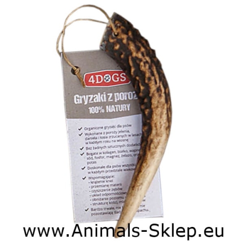 4DOGS Gryzak z poroża hard S hand made