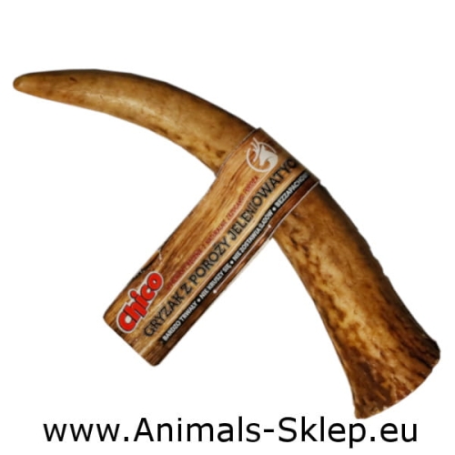 Chico gryzak naturalny z poroża hard XXL
