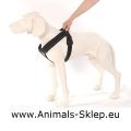  Patento Pet Sport Szelki M