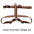  Zolux Color Line Szelki 10mm 24 - 40 cm brązowe